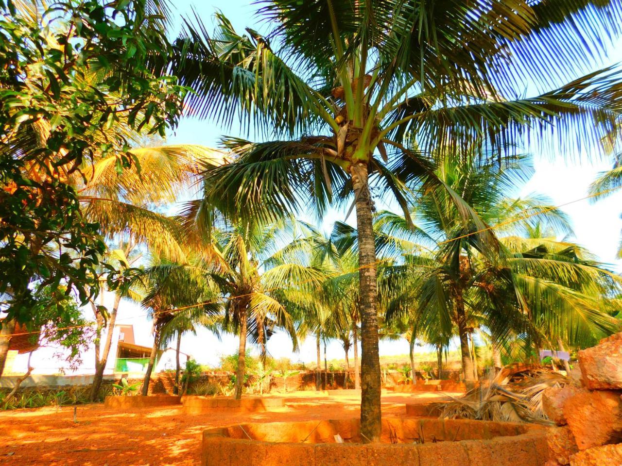 Coconut Tree Resort Gokarna Gokarna  Exterior photo